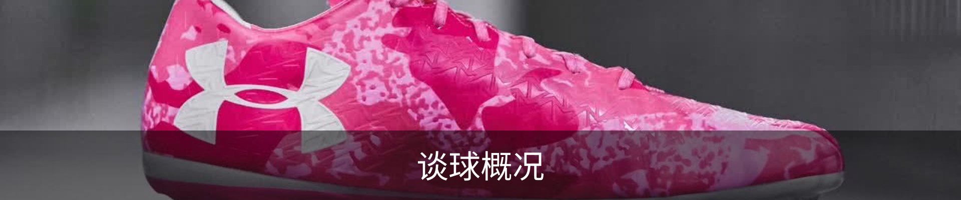 谈球概况